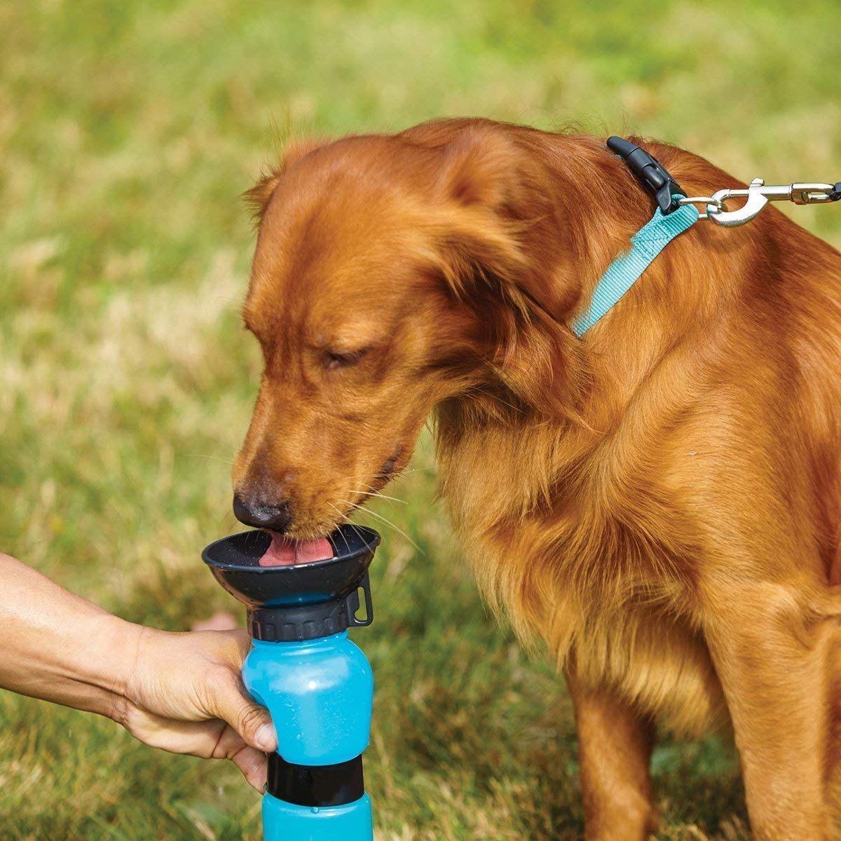 Aqua Dog - Specijalna čaša za pse - Kupiti