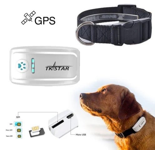 GPS Ogrlica za pse, model TK909 - Kupiti